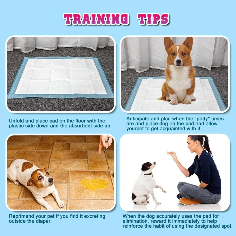 NEZO Super Absorbent Dog and Puppy Training Pads, Extra Large, 150 Count
